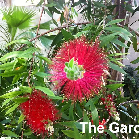 Vendégház Le Tre M - Róma