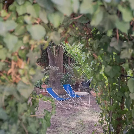 ゲストハウス Le Tre M - ローマ