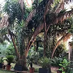 Guest house Le Tre M - 4*